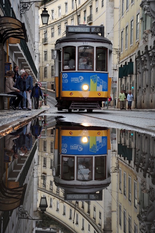 Otoño en la ciudad
Fuertes lluvias y temperaturas suaves en Lisboa.
