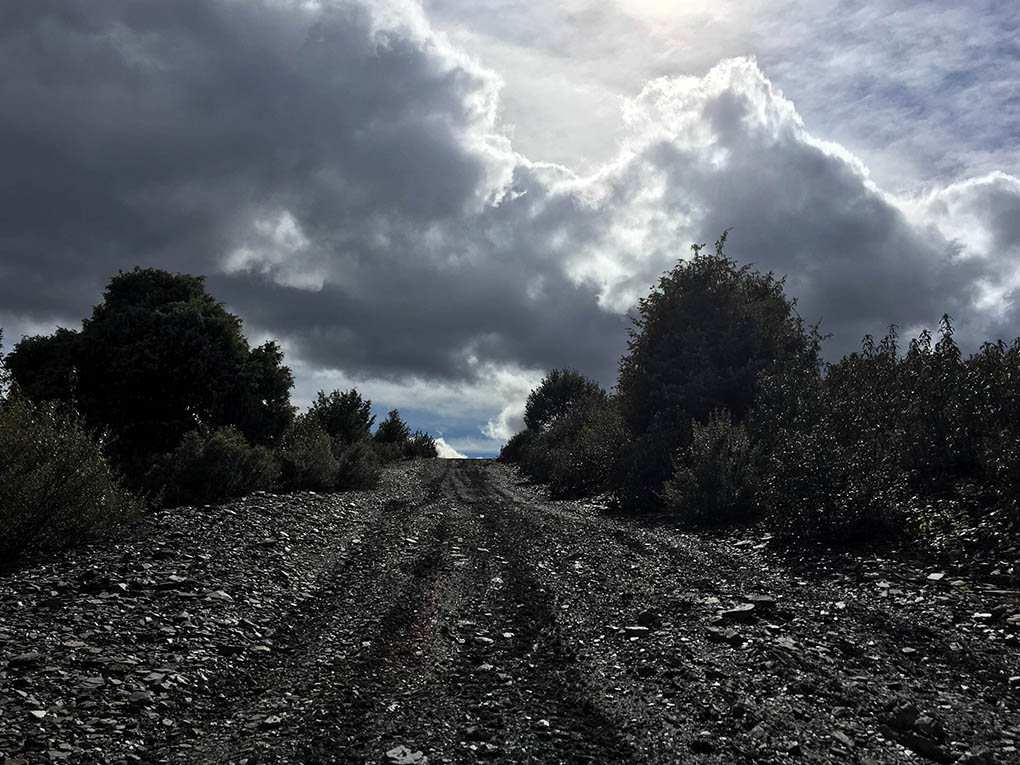 De camino a la tormenta
Paseo por Torrelaguna, donde la pizarra se adelantaba a reflejar la tormenta por llegar en su pizarra negra.
Álbumes del atlas: ZFI16