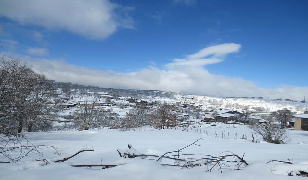 Pueblo Invernal
Fotografía realizada en Valdín, un pequeño pueblo de montaña en la provincia de Ourense.
