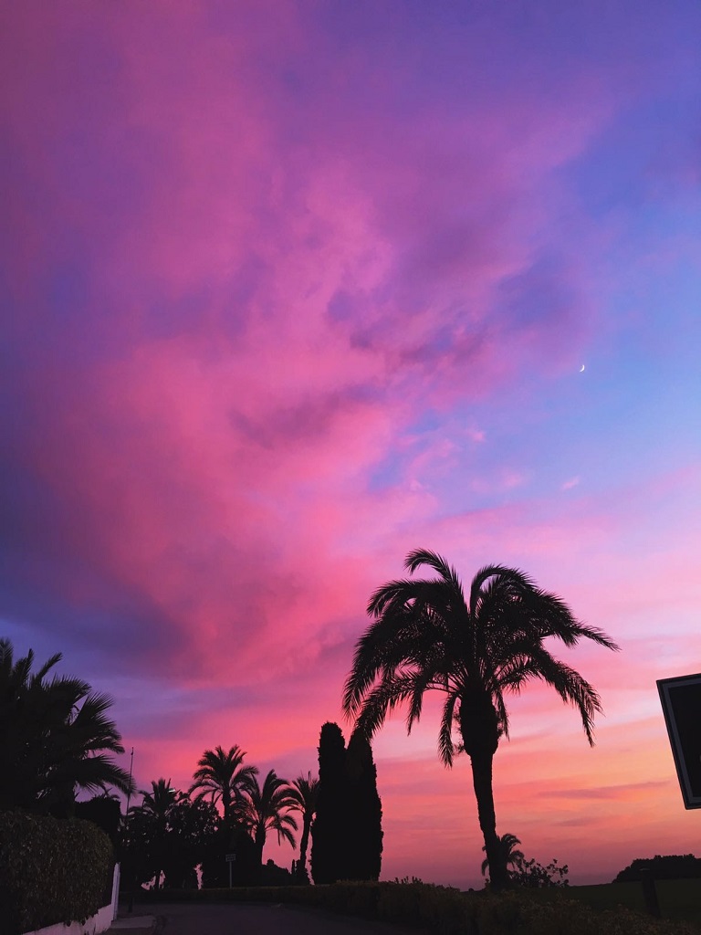 Palmeras
En la foto aparece unas palmeras de una urbanizacion donde detras se puede ver la puesta de sol de color rosa.
Álbumes del atlas: ZFP16 aaa_no_album