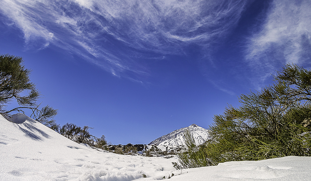Nieve en Marzo
Huella que ha dejado una borrasca en las Cañadas del Teide, mucha nieve en este mes de marzo.
Álbumes del atlas: ZFP16 paisaje_nevado