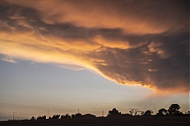 260824_ame__2.jpg