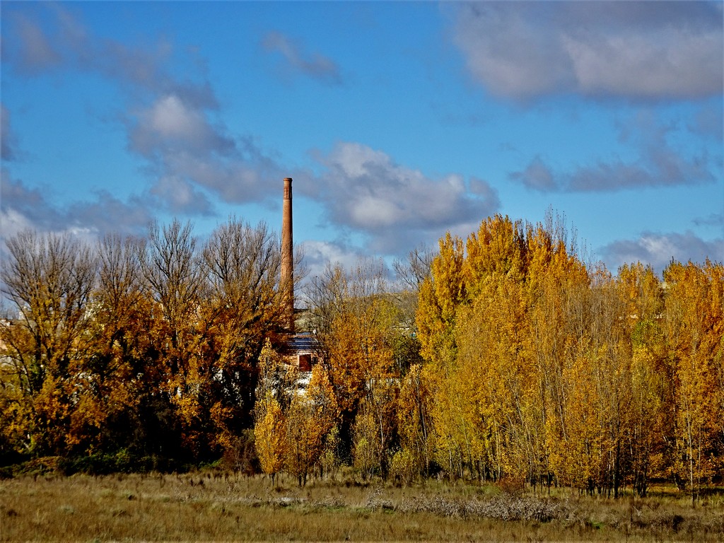 La Vieja Fabrica
Entre los arboles amarillos destaca la chimenea de la vieja fabrica
