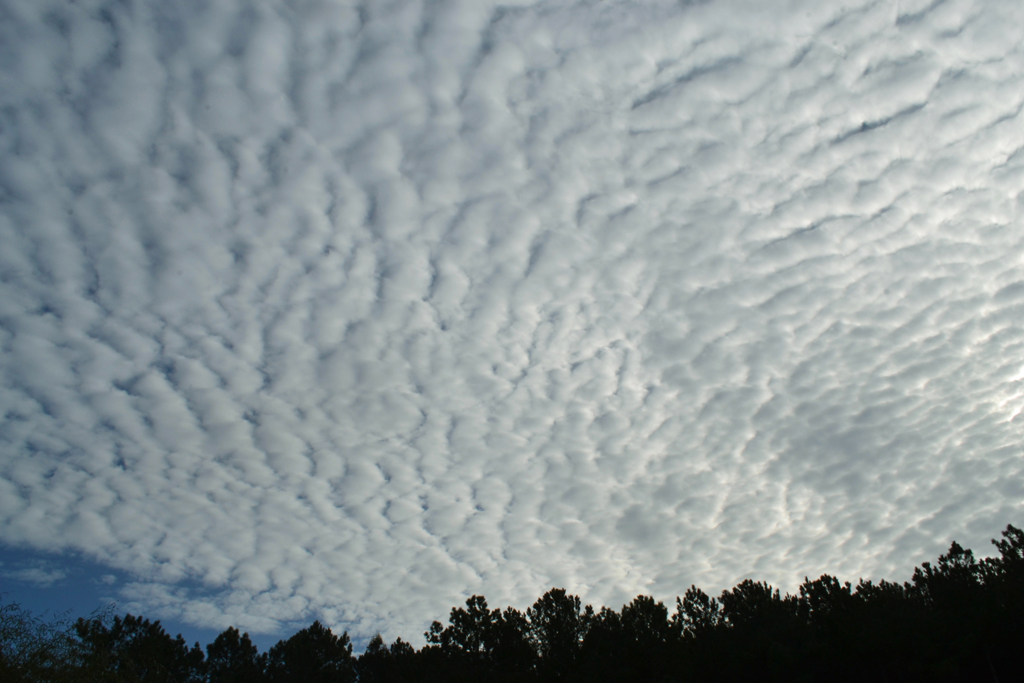 Altocumulus stratiformis perlucidus
"Manto nuboso"

Cielo prácticamente cubierto por una capa de nubes o cirros.
