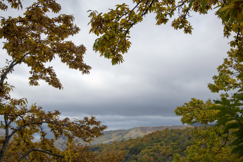 valle del genal en otoño 
Fotografia del valle del Genal en Otoño 

