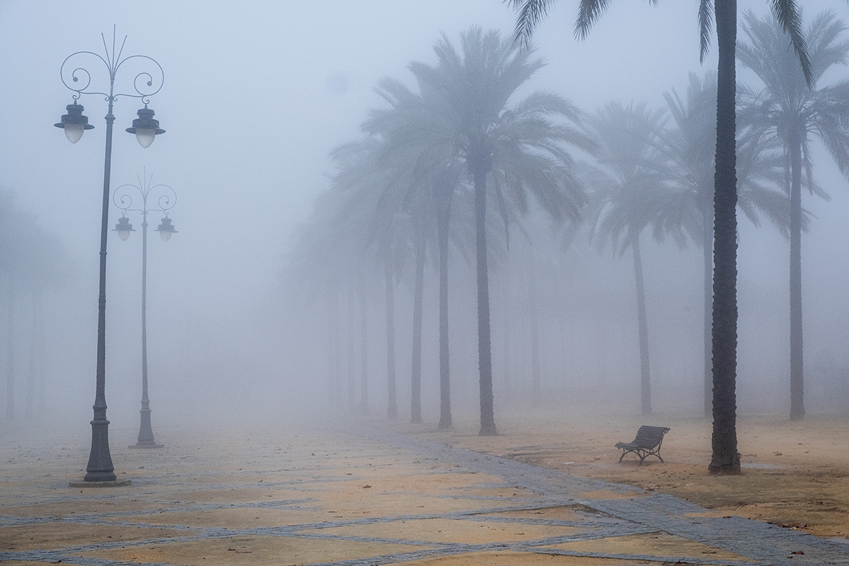 Aquella estampa me cautivo. La niebla convertía aquel anodino escenario en todo un ejercicio de minimalismo. 
