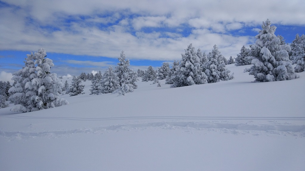 foto de la nieve
Álbumes del atlas: paisaje_nevado
