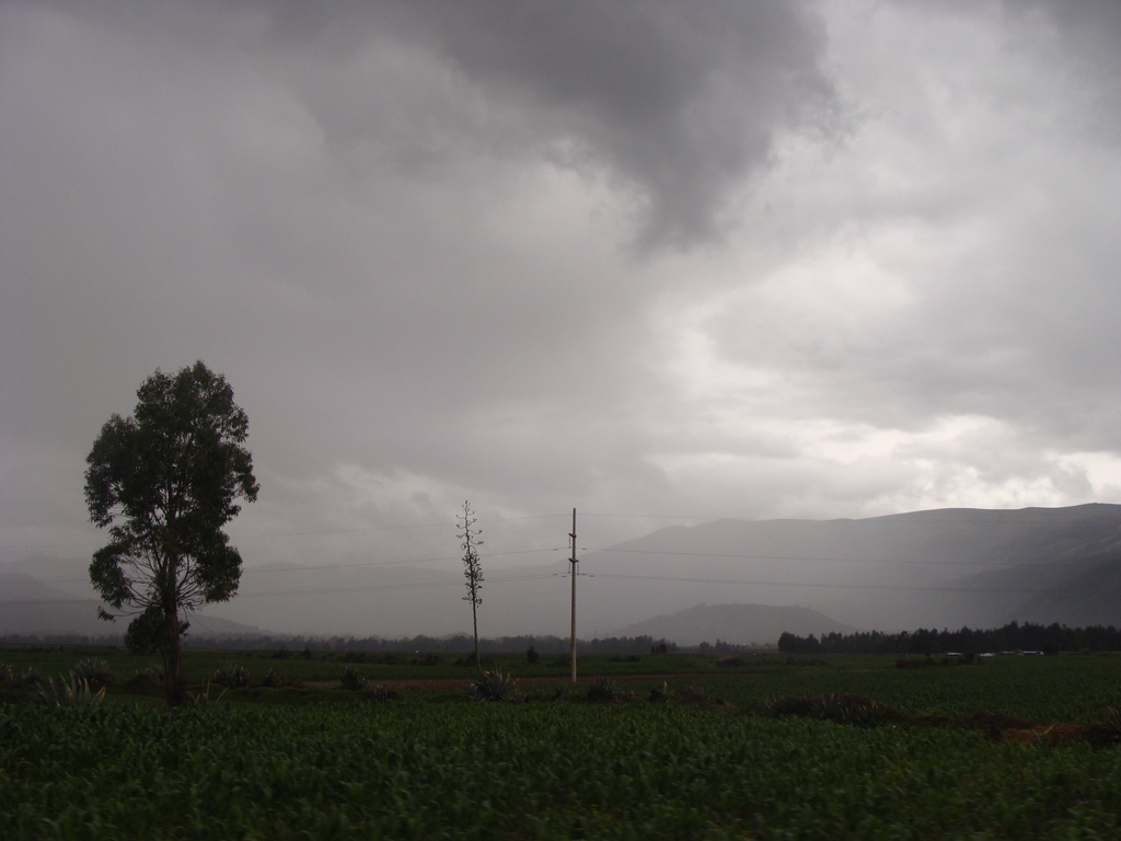 llega la lluvia
tomada en el valle de huancayo en el departamento de junin, PERÚ, a finales del mes de diciembre, las lluvias llegaron tarde, usualmente las lluvias empiezan en noviembre 
