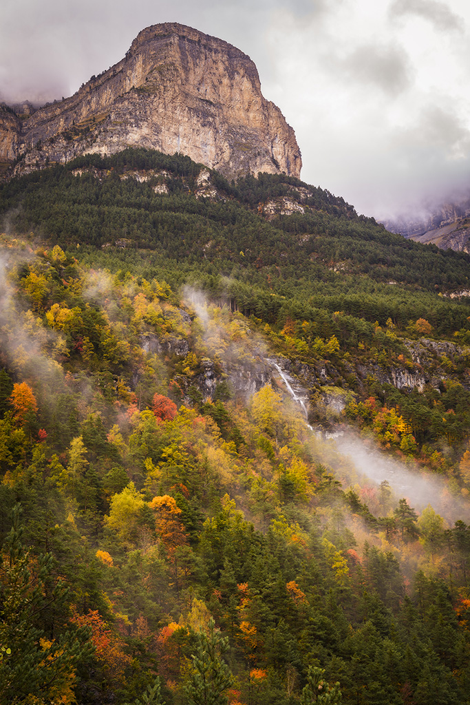 Niebla de otoño
Niebla sobre las laderas
Álbumes del atlas: silvagenitus