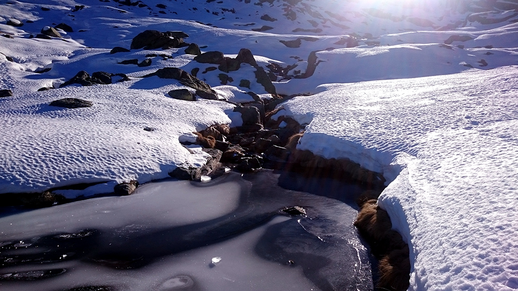 Naturaleza helada
Fotografía tomada a los pies del pico del Morezón, Gredos.
Álbumes del atlas: aaa_no_album