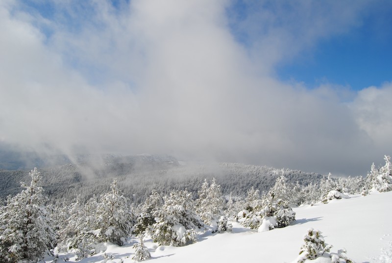 Stratus fractus
"Hacia el manto blanco". Nevada en Santa Inés (Soria).
Álbumes del atlas: nieve estratos_fractus zfi20