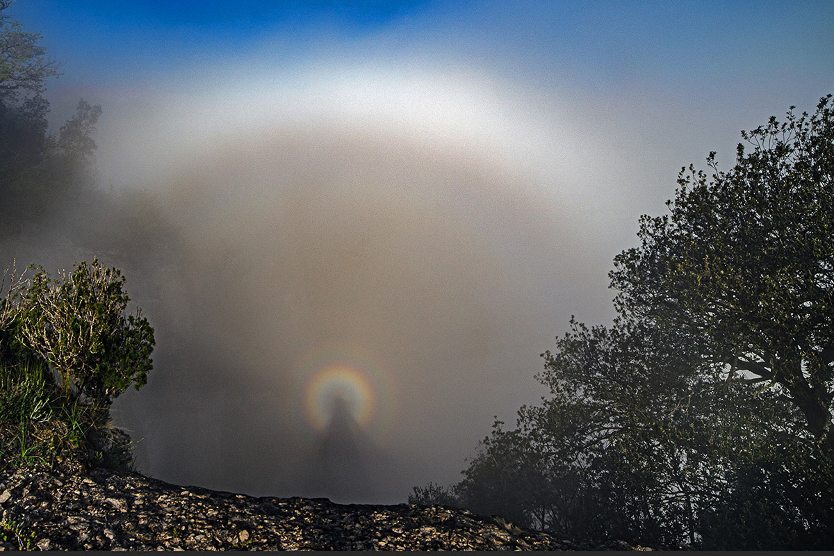 Fenómeno atmosférico poco frecuente pero espectacular, compuesto por un arco de niebla y un espectro de Brocken, observados desde una zona elevada con niebla densa y luz solar trasera.Se forma cuando la luz del sol atraviesa gotas de agua extremadamente pequeñas, suspendidas en la niebla. Estas gotas dispersan la luz sin descomponerla completamente en colores intensos, dando lugar a este arco tenue y fantasmal.
