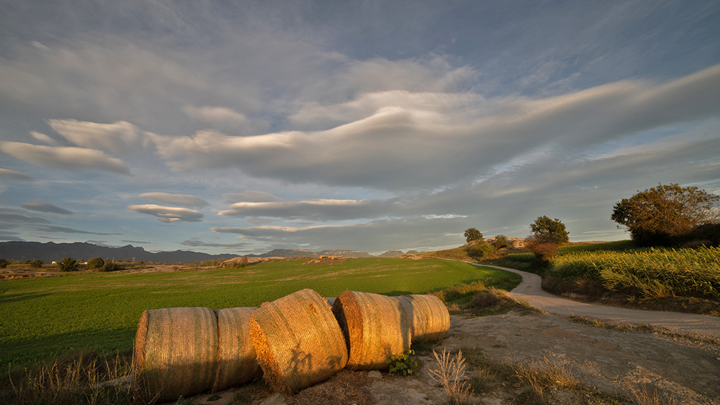 El cielo adornado por nubes lenticulares, embellece el paisaje rural de una tarde de otoño.
