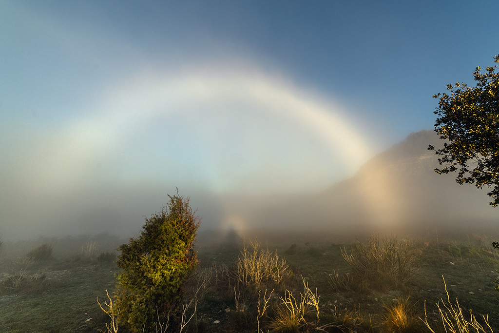 En el centro de la imagen, entre la bruma, se vislumbra el Espectro de Brocken, un fenómeno que se proyecta sobre la niebla, rodeado por un aura luminosa. 
La combinación de la suave luz dorada, la vegetación parcialmente envuelta en la niebla y la silueta de la montaña al fondo crean una escena mágica e irrepetible.

