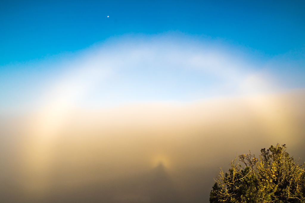 Arco de niebla, espectro y luna
Nieblas al amanecer cosa habitual en la zona en tiempo de anticiclón. Un gozo disfrutar por unos instantes del espectáculo de un espectro de Brocken, arco de niebla presidido por la luna

