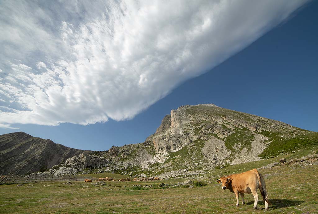 Nube de viento-3
Gran lenticular cubre el cielo entre el Gra de Fajol  y Bastiments en la cuna del Ter
