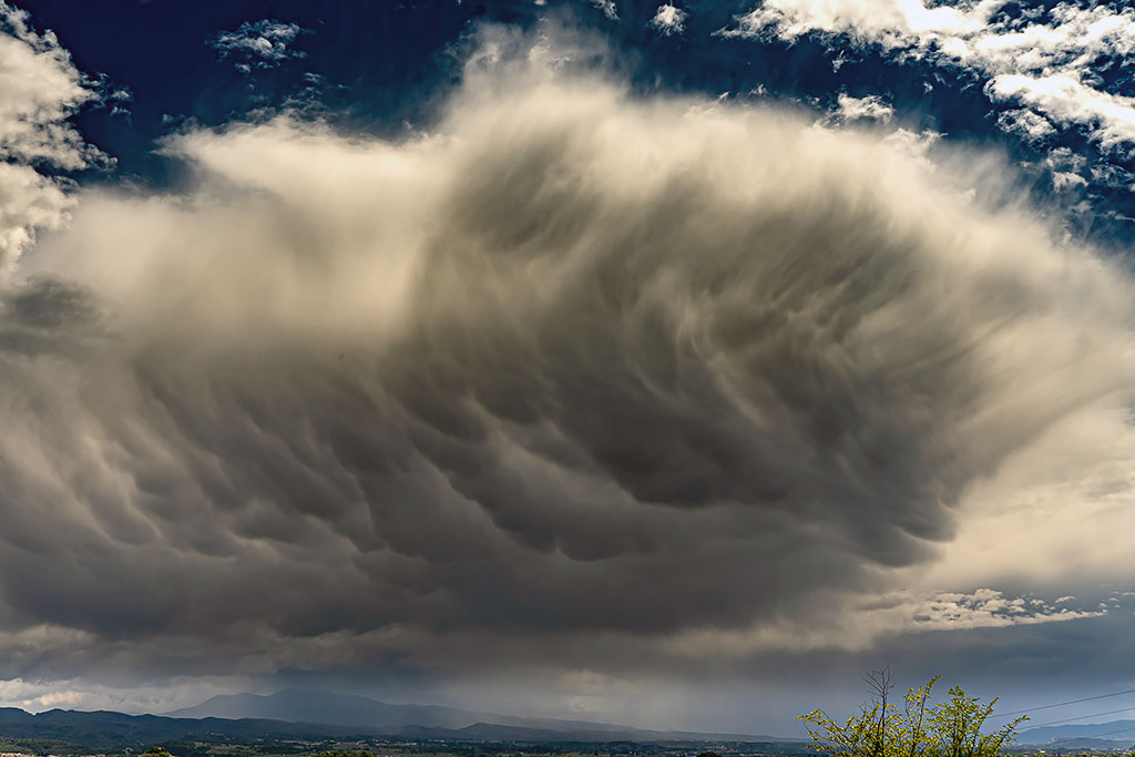 Nube gigante
Tremendo cumulonimbos  gigante, mammatus , al finalizar un pequeño chubasco que tanta falta hace en los campos de cereales.
