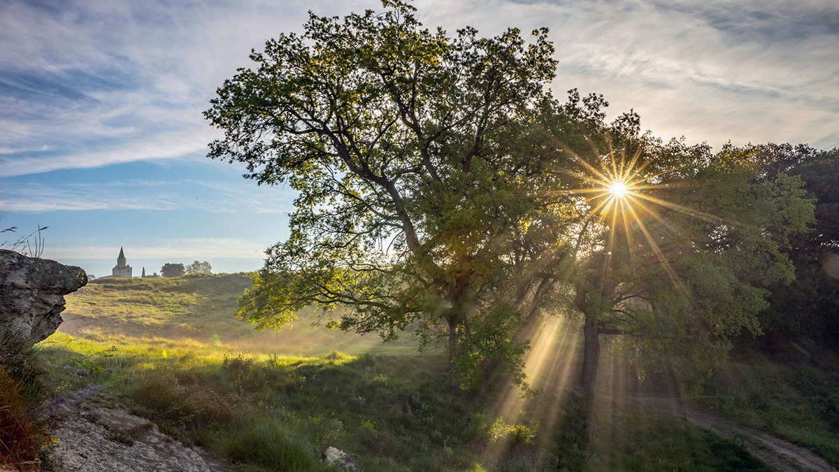 Rayoys de sol al amanecer
