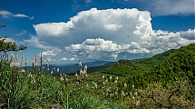Cumulonimbus_de_primaveral_DSC0776.jpg