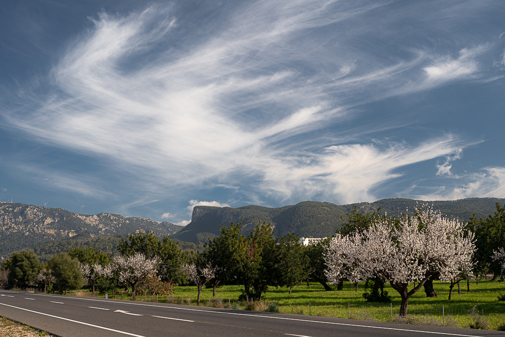 Salí en busca de la floración del almendro y como me premio me llevé estos cirrus tan llamativos.
