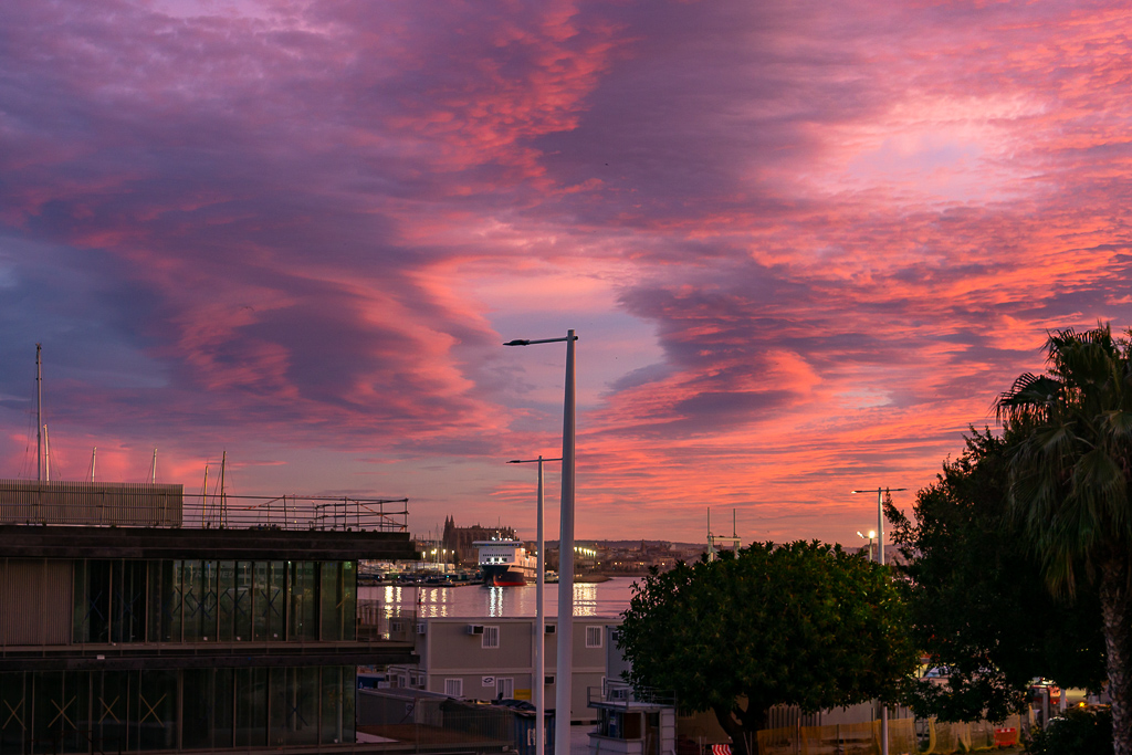 Precioso amanecer envuelto en las obras faraónicas que se están llevando a cabo en el Puerto de Palma. 
