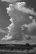 DSC07597ame.jpg