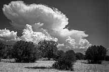 _DSC4318ame.jpg