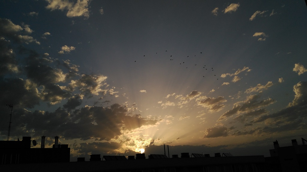 Amaneceres desde mi ventana
Amanecer desde mi ventana, capturando la bandadas de palomas a través de los rayos que dejan pasar las nubes. 
Álbumes del atlas: r_crepusculares