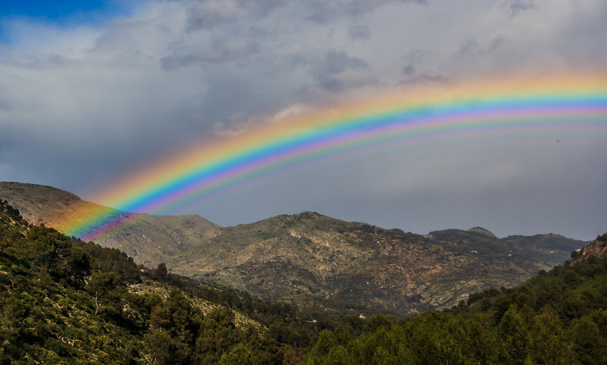 Tras un fuerte aguacero que nos pilló en la carretera entre Benigembla y Castell de Castells, el cielo se abrió y el sol brilló con fuerza. Bajé del vehículo a esperar que apareciera el arcoiris, éste se dibujó con gran colorido cruzando el valle y dejando ver varios arcos numerarios.
