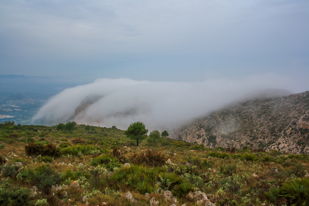 Manto de niebla en el Montgó
Manto de niebla cubriendo la zona baja del Montgó (la más escorada al oeste) que pude captar de buena mañana desde mayor altitud en la misma montaña. Este fenómeno lo he observado muchas veces desde casa, pero esa mañana lo pude disfrutar "in situ".
