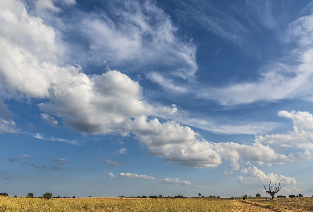 Arbol de Brihuega
Nubes por Brihuega
