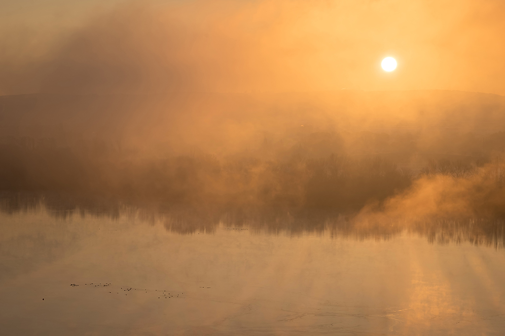 Niebla en la laguna del Campillo
Amanecer en la laguna del Campillo
