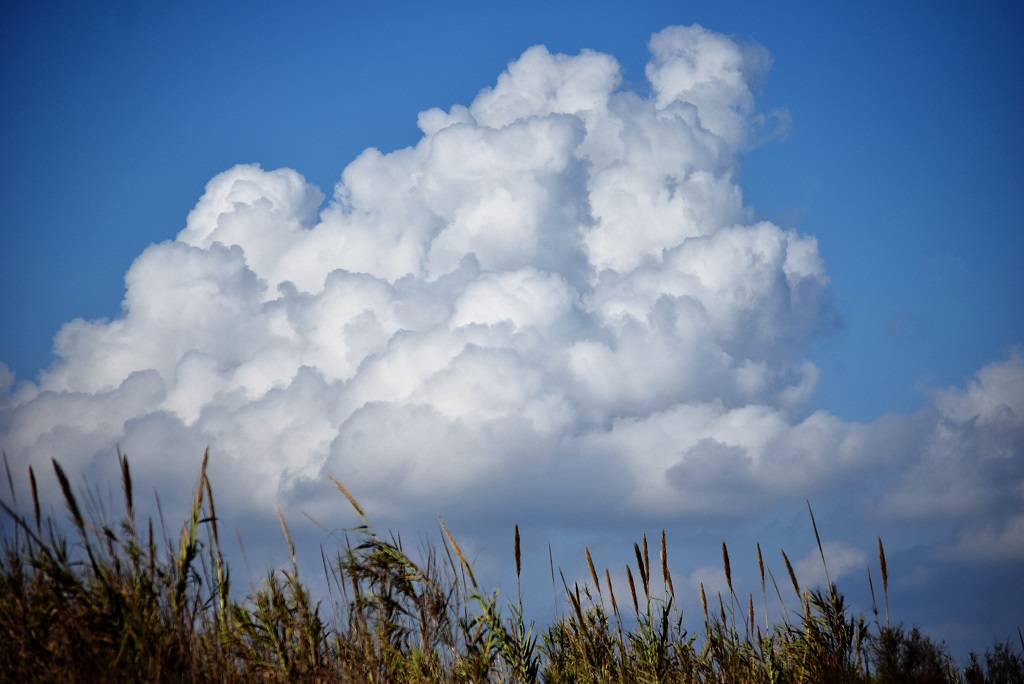 NUBES DE ALGODON
Nubes que parecen algodón al medio día en la playa de Gandia.
