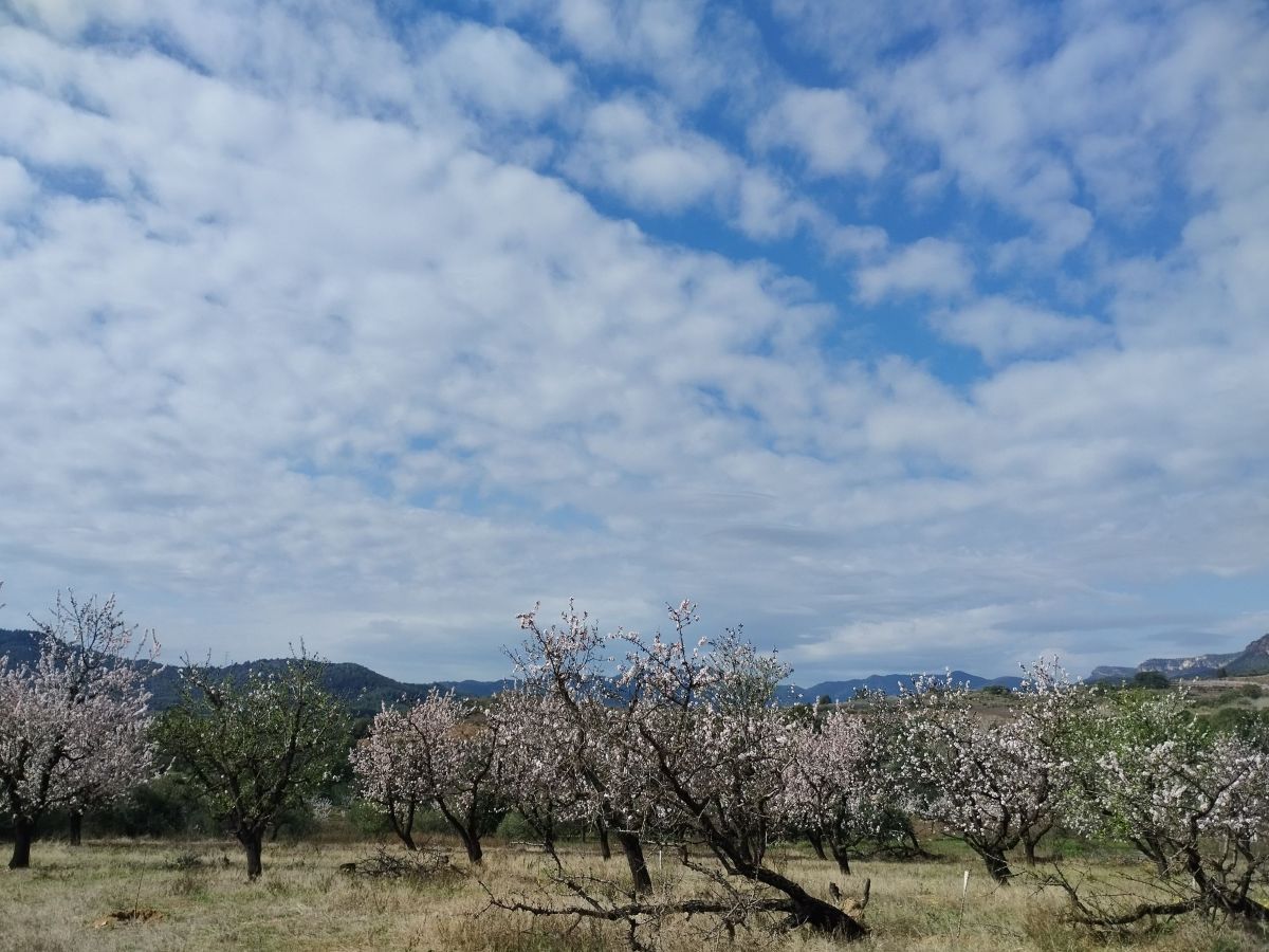 Campos de nubes de primavera en invierno
