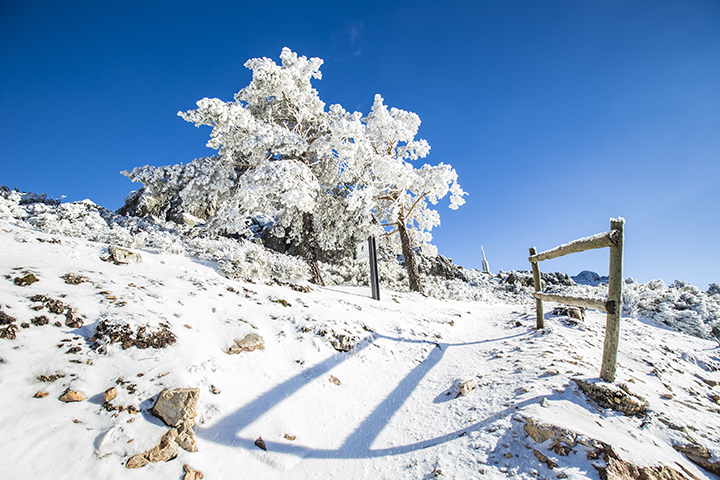 Vestida de blanco
En la Sierra de Francia, Slamanca, los invirnos hacen que esta sierra quede totalmente cubierta por un manto de nieve, enfatizando su belleza.
