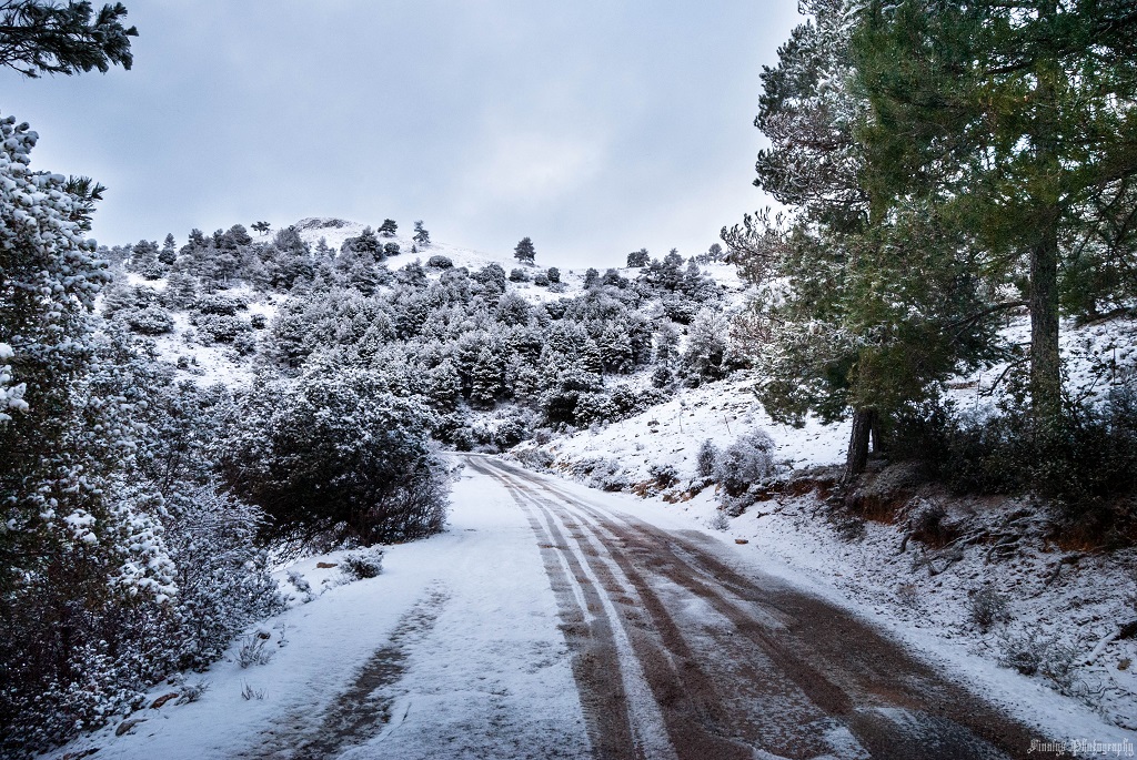 Nieve en la Fuente de la Carrasca
Un blanco mato cubre la Sierra de las Cabras.
Álbumes del atlas: nieve