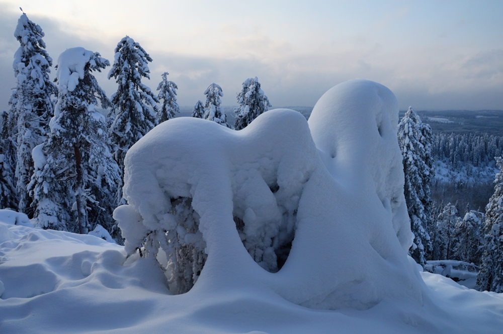 El arte de la nieve, Koli
Estas acumulaciones de nieve se deben a que en otoño la humedad que sube del lago Pielinen se congela por las noches, creando en invierno una capa de hielo permanente donde se va adhiriendo la nieve, llegando a crear estas curiosas formas.
