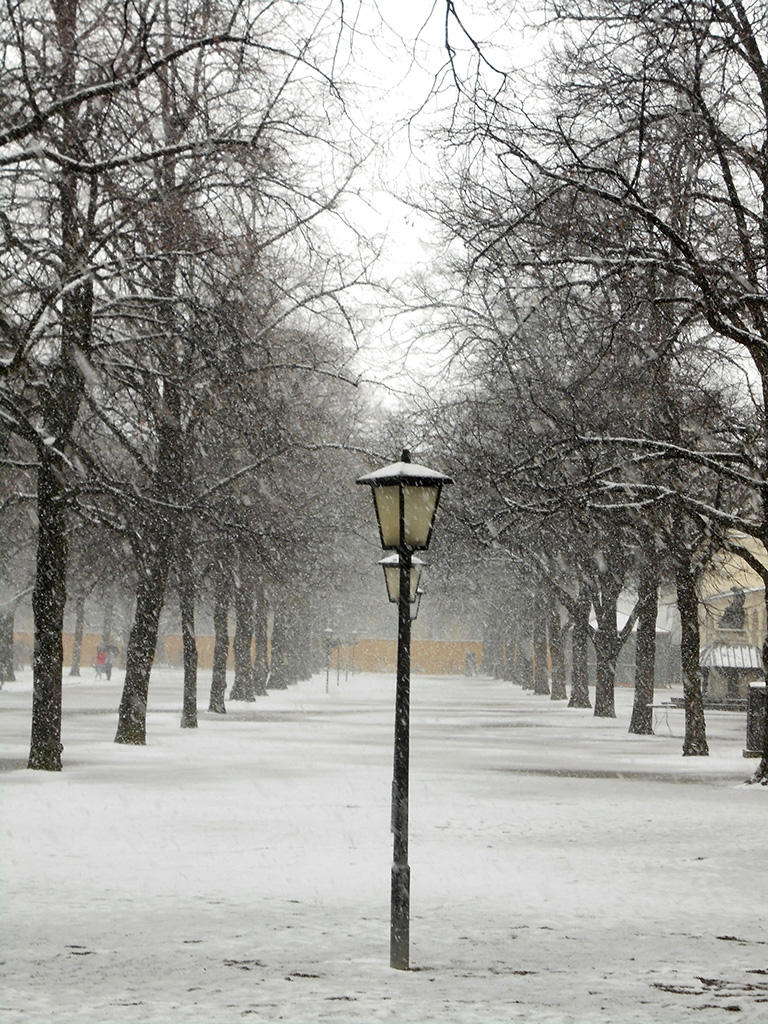 Nieve
Nieve que convierte en solitarios los elementos mas cotidianos
