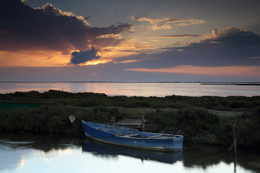 Amanecer en el delta
Amanece en el Delta del Ebro y el Sol surge tras un horizonte nublado.

