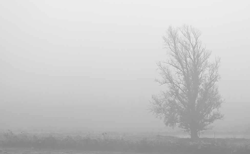 Niebla
Niebla a orillas del río Ebro
