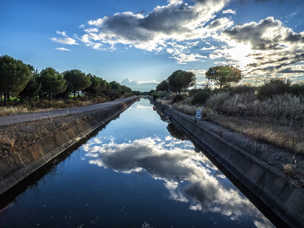 Los reflejos del cielo
Nubes reflejadas en las acequias de riego en Extremadura
