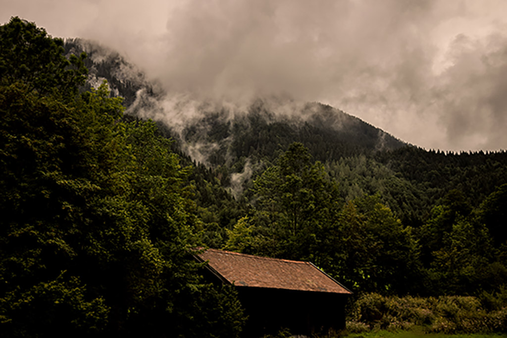 Niebla
Pasear por los Alpes Alemanes en pleno agosto y ver estos paisajes de niebla y sol
