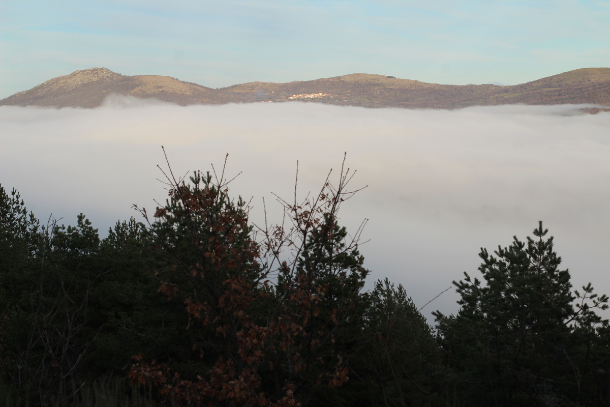 Stratus nebulosus en la sierra de Béjar en pleno invierno con sus nieblas correspondientes. Toma realizada camino de la Peña Negra. 
