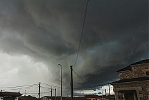 IMG_0916_28129.jpg