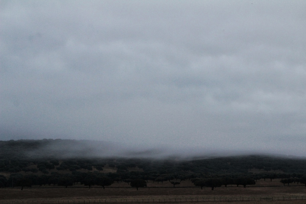 Una mañana en mi zona de trabajo al amanecer me encontré con esta estampa de niebla en la dehesa salmantina en una mañana sorprendentemente fresca en pleno mes de julio y debido a la abundante humedad se formaron estos bancos altos y bajos de niebla, pena no disponer de más tiempo para haber realizado más tomas de la situación 
