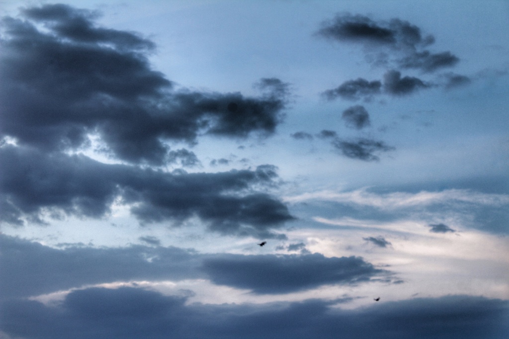 Nubes alargadas provenientes de la prolongación de una banda de precipitación que se divisaba en el horizonte al atardecer 
