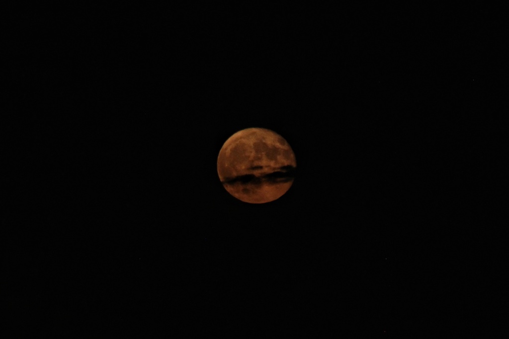 Capté lo mejor que pude a la salida de la superluna del esturión la noche del 20 de agosto con mi teleobjetivo con los restos de alguna nube 
