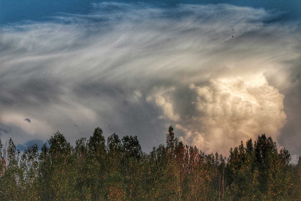 Otra toma de este cumulonimbus capillatus tan espectacular que se divisaba desde Ávila 
