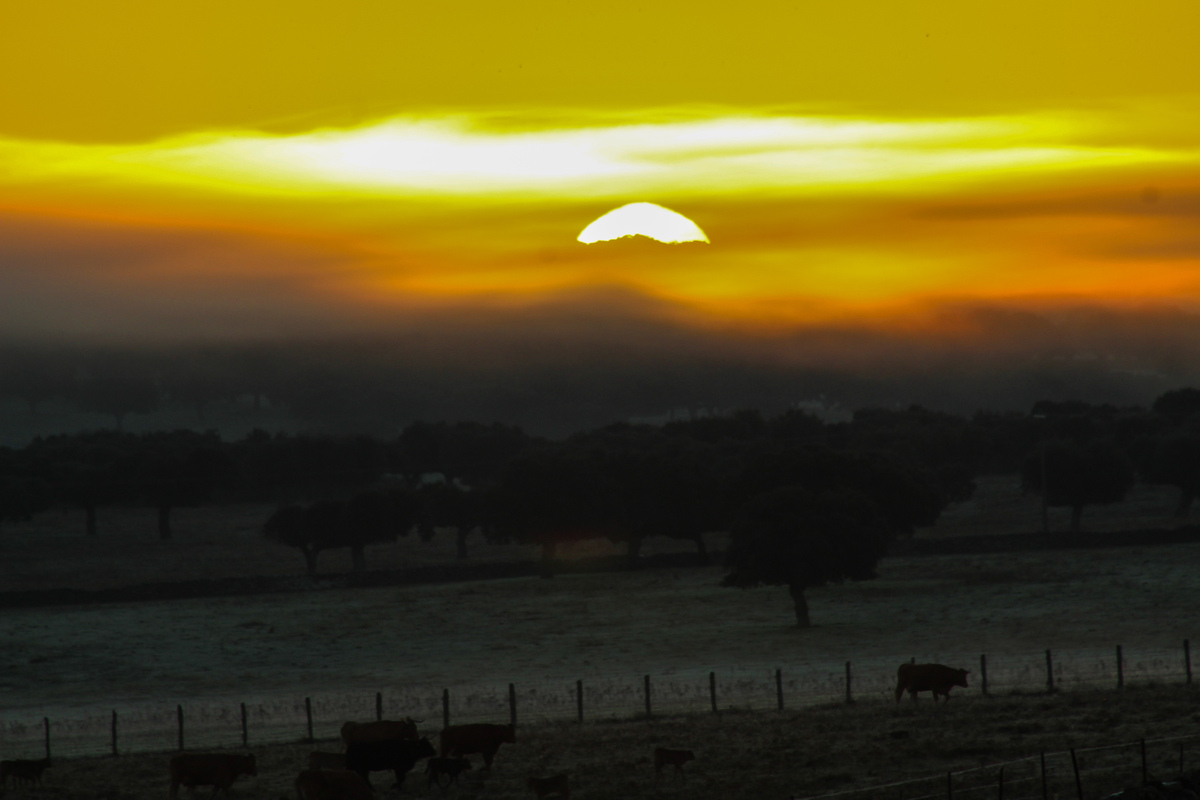 La mañana del 21 de octubre fue muy húmeda y con nieblas bajas persistentes que al amanecer permitieron contemplar como al salir el sol los propios bancos de niebla hacían de tapón al sol del alba 
