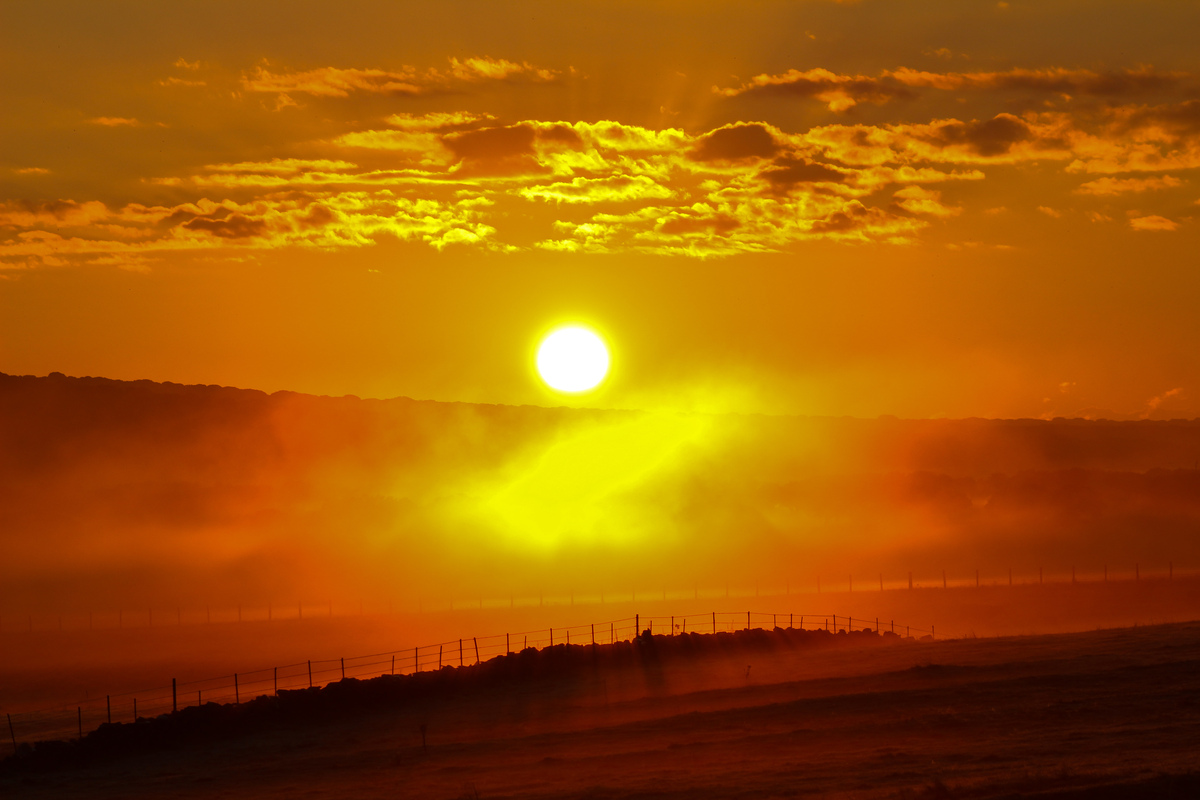 Otra mañana de bancos de niebla en la dehesa salmantina nos brindó esta estampa al amanecer coincidiendo el momento con unos pequeños rayos solares al atravesar las nubes altas que había 
